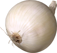 WEBP
