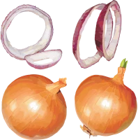 WEBP