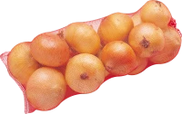 WEBP