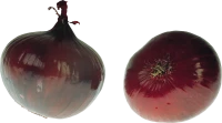WEBP