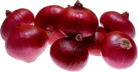 WEBP