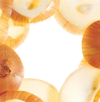 WEBP