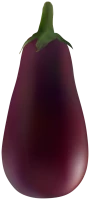 WEBP