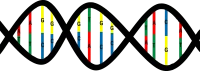 WEBP