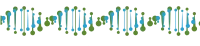WEBP