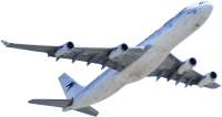 WEBP