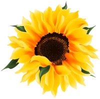 WEBP