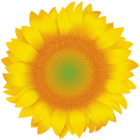 WEBP