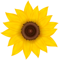 WEBP