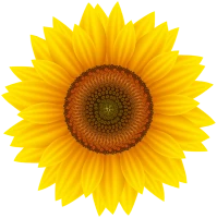 WEBP
