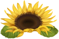 WEBP