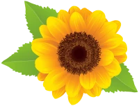 WEBP