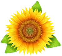 WEBP
