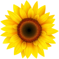 WEBP