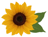 WEBP