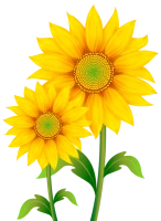 WEBP
