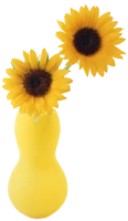 WEBP