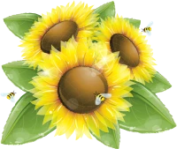 WEBP