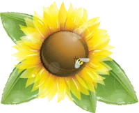 WEBP