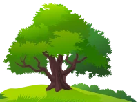 WEBP