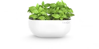 WEBP