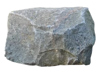 WEBP