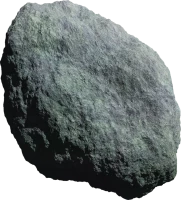 WEBP