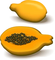 WEBP