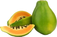 WEBP