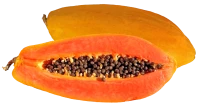 WEBP