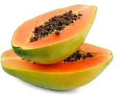 WEBP