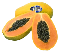 WEBP