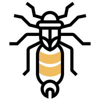 WEBP