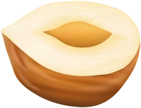 WEBP