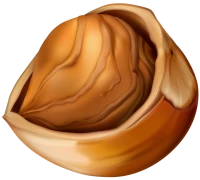 WEBP