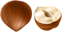 WEBP