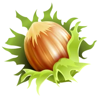 WEBP
