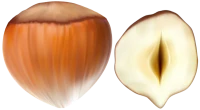 WEBP