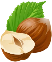WEBP