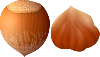 WEBP