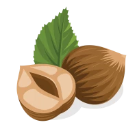 WEBP