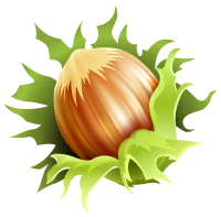 WEBP