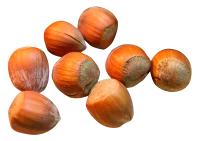 WEBP