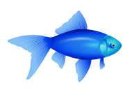 WEBP