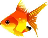 WEBP