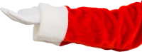 WEBP
