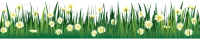 WEBP
