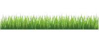 WEBP
