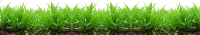 WEBP