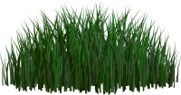 WEBP